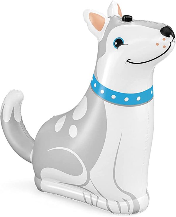 ⁦משפריץ מים כלב⁩ – תמונה ⁦3⁩