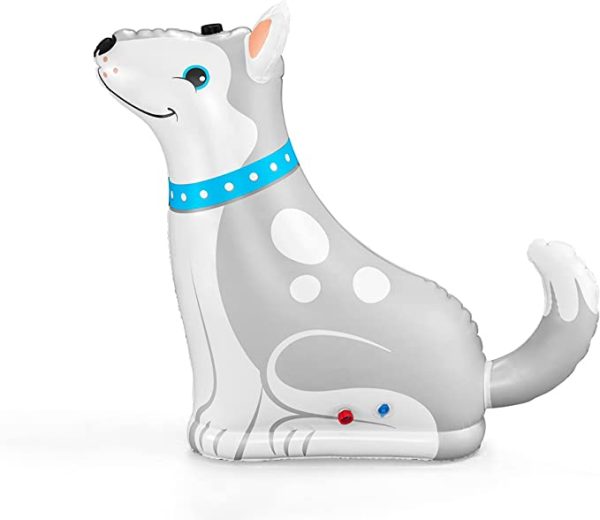 ⁦משפריץ מים כלב⁩ – תמונה ⁦2⁩