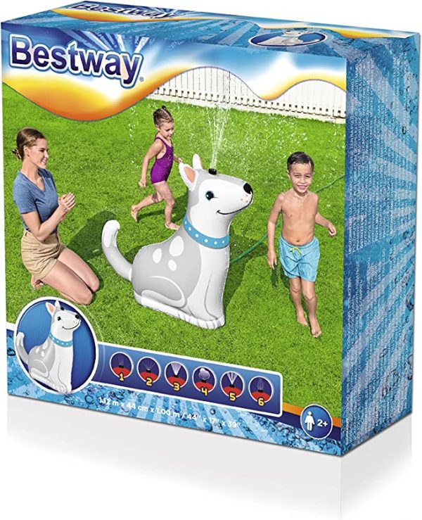 ⁦משפריץ מים כלב⁩ – תמונה ⁦4⁩